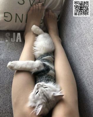 宸汐缘电视剧
