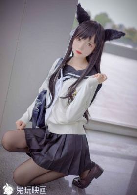 藏海花电视剧在线播放