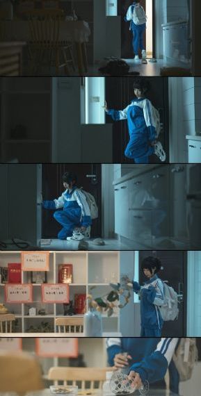 青柠影视剧大全