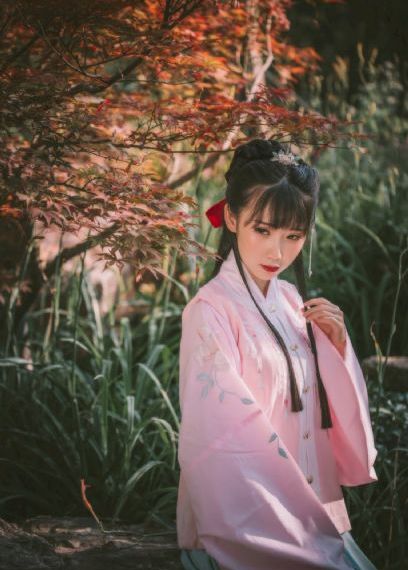吃播