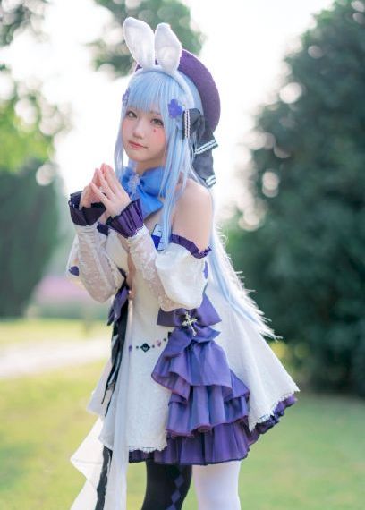 雪豹坚强岁月演员表
