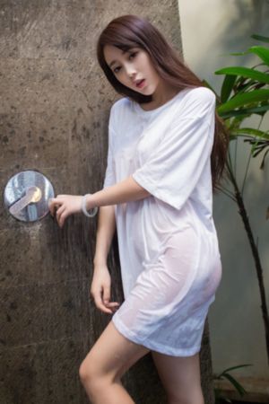 樊振东退赛