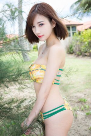 内衣柜办公室第二季预告时间