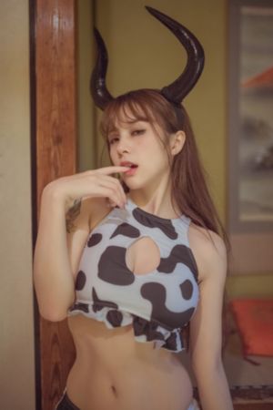 铁血战狼电视剧
