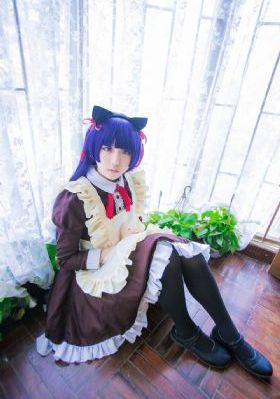 冷案电视剧免费观看完整版